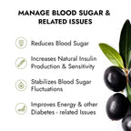 Diasto Herbal – Ayurvedic Diabetes Powder (Pack of 2)