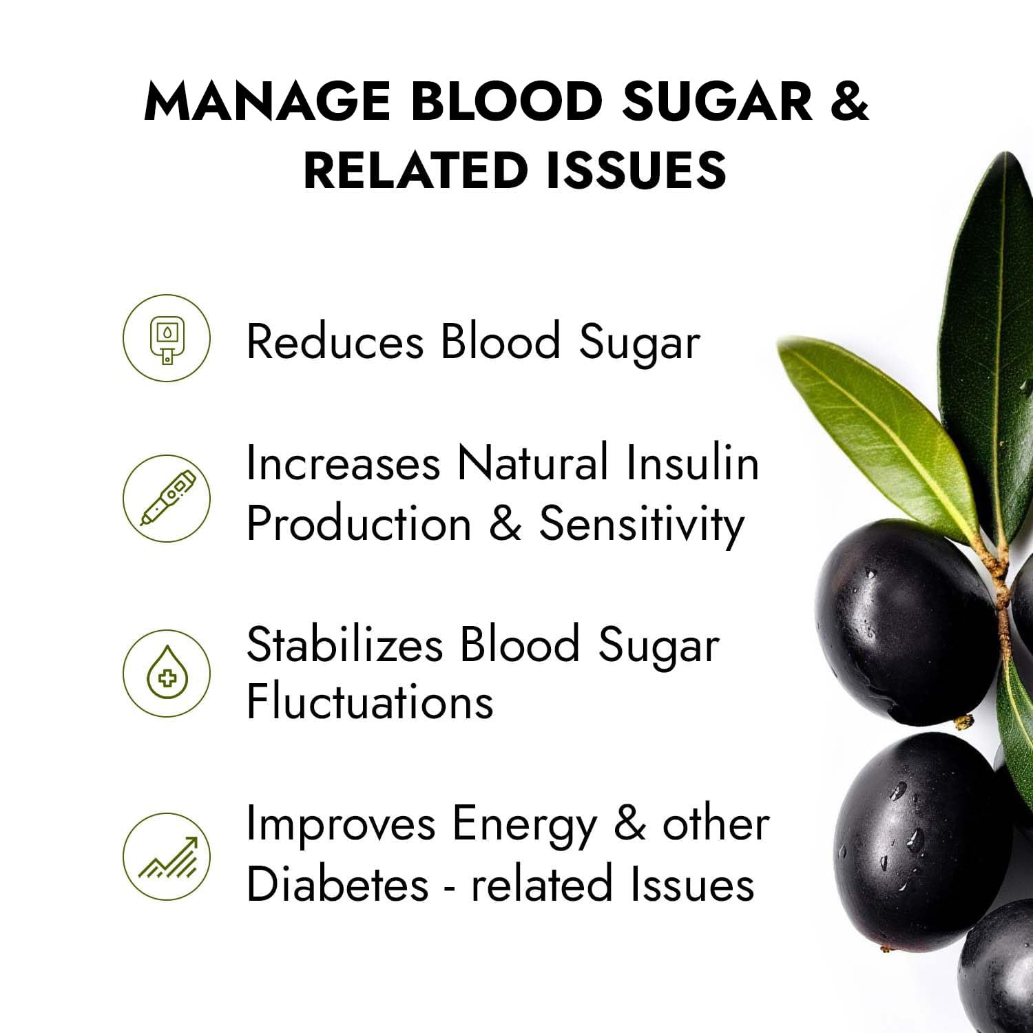 Diasto Herbal – Ayurvedic Diabetes Powder (Pack of 2)