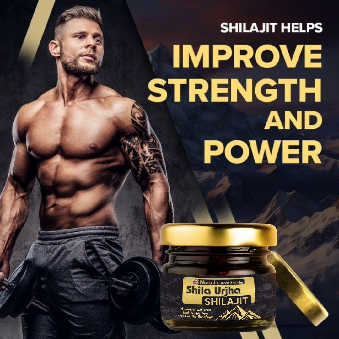 Narad Himalayan Shilajit – Natural Resin